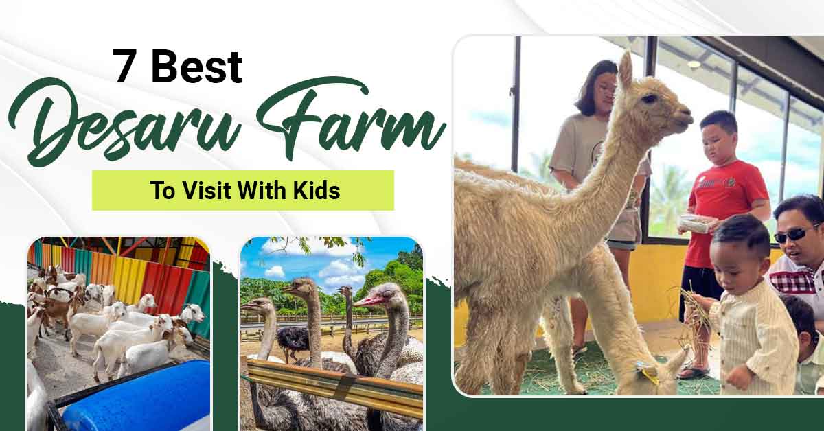 Best Desaru Farms To Visit Perfect For Nature Loving Families