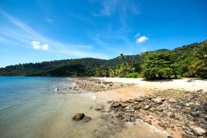Explore The Rock Pools At Air Batang Bay And Salang Beach