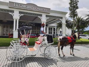 JDT Horse Carriage