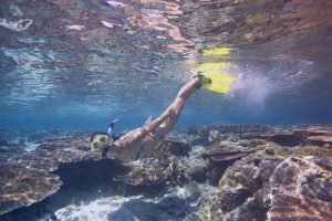 Snorkeling At Tioman Dive Resort