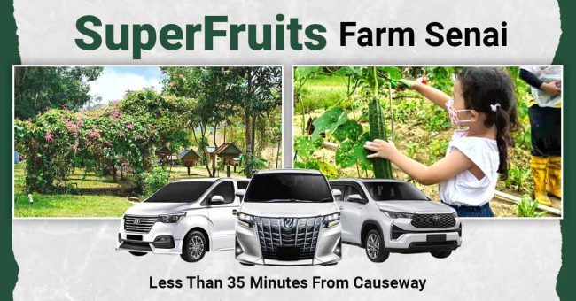 SuperFruits-Farm-Senai JB Read our guide on the coolest farm in JB near the Causeway.
