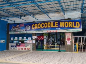 Teluk Sengat CrocodileFarm